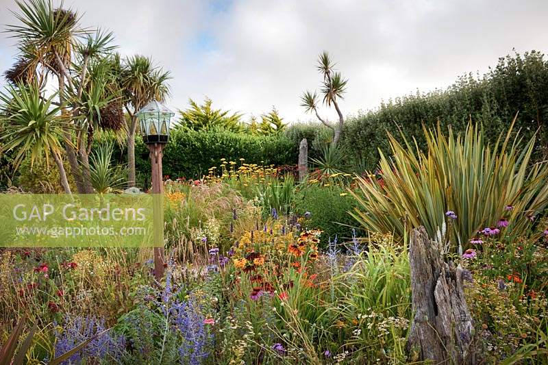 Le jardin Beth Chatto avec table d'oiseaux en dôme de verre, herbes, échinacée, Rudbeckia, Perovskia, Phormium, Cordyline et Crocosmia