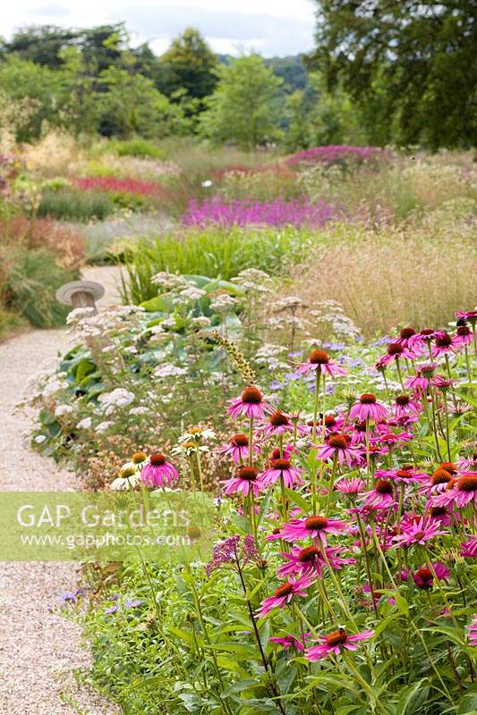 Un chemin à travers le labyrinthe floral de Trentham Gardens