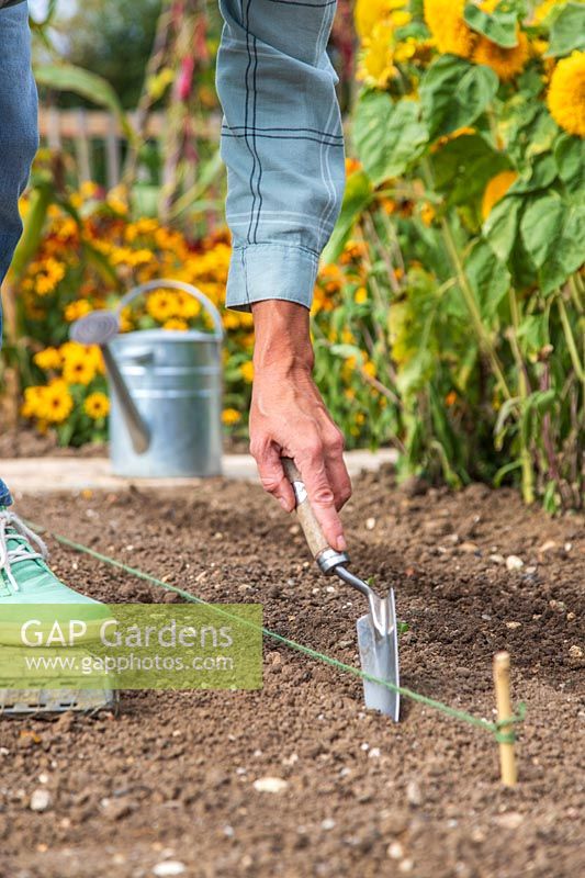 Femme à l'aide d'une truelle à main contre une ligne de jardin pour faire un semoir pour semer directement dans le sol