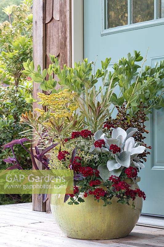 Jardin pot vert pâle situé sur le porche de la cabine. Porte bleu pâle en arrière-plan. Planté avec une sélection d'arbustes, vivaces, annuelles, herbes et graminées ornementales résistants aux cerfs