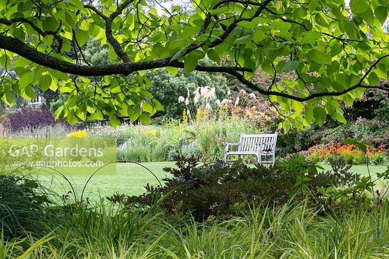 Un banc en bois traditionnel sur une pelouse, soutenu par un parterre de fleurs herbacées de fin d'été à RHS Harlow Carr. La vue est encadrée par un arbre à feuilles caduques au premier plan.