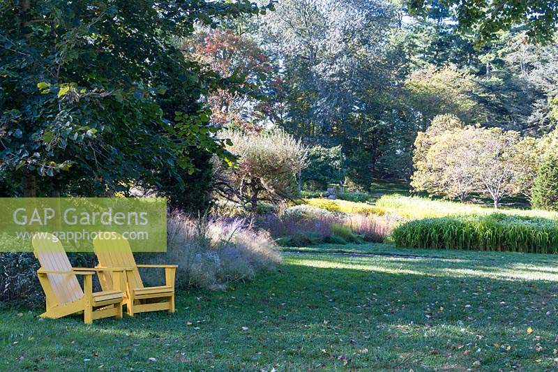 Chaises Adirondack jaune sous arbre surplombant le paysage à Chanticleer Gardens à l'automne. Parterres de serpentine de riz Carolina Gold et de graminées ornementales présentés
