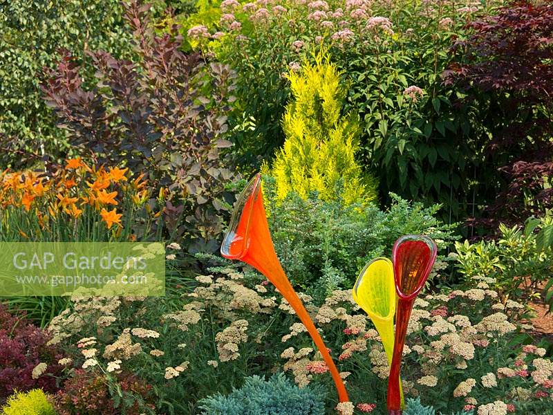 Des trompettes de verre font écho aux couleurs des plantes environnantes, des parterres de fleurs: Thuja plicata 'Forever Goldie', Hemerocallis 'Flasher' et Acer palmatum 'Fireglow'