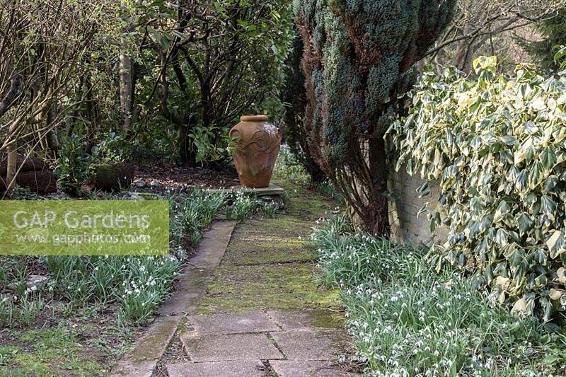 Le jardin Gibberd, Harlow. Perce-neige, sentier menant au patio du chalet, avec urne et perce-neige