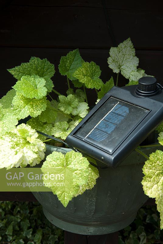 Petit appareil solaire pour alimenter l'éclairage du jardin - Open Gardens Day 2013, Middleton, Suffolk