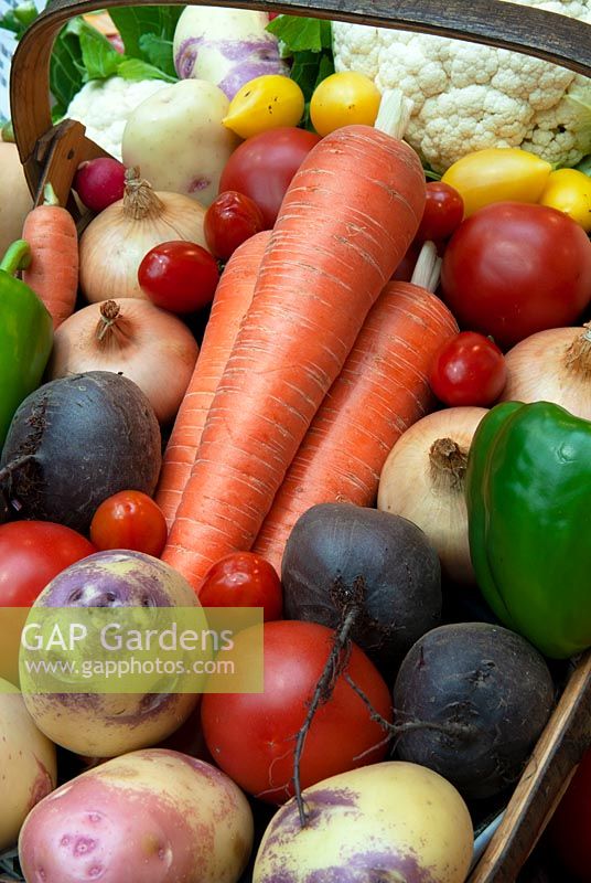 Trug contenant un assortiment de légumes - chou-fleur, pommes de terre, oignons, betteraves, carottes, tomates et poivrons