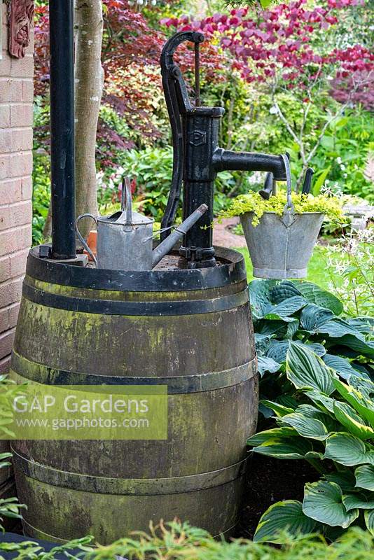 Un vieux tonneau utilisé comme crosse pour recueillir l'eau de pluie d'un jardin.