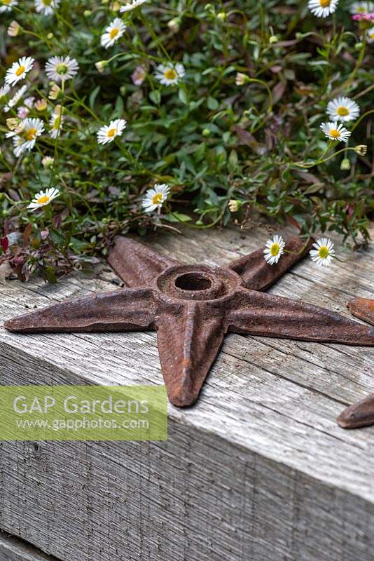 Une vieille étoile de mer en fer repose sur une poutre en bois.