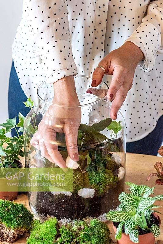 Étape par étape, planter un terrarium. Étape 15: terminer avec des galets et des pierres de quartz.