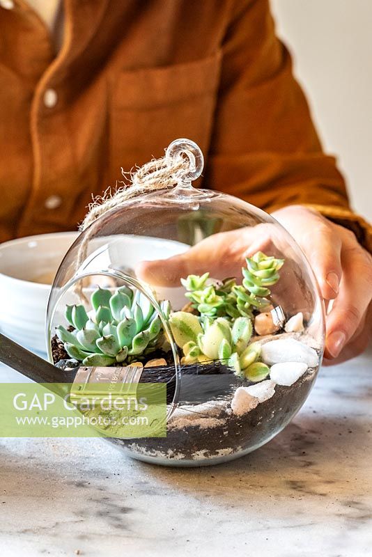Utiliser une brosse pour radiateur pour nettoyer l'intérieur d'une boule de verre - Planter un terrarium ouvert avec des plantes succulentes