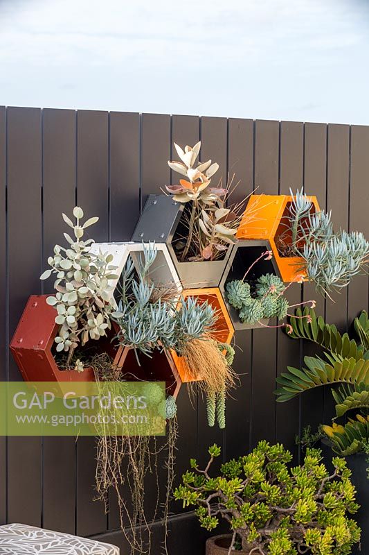 Pots hexagonaux muraux en métal peint, plantés d'une variété de plantes succulentes et d'herbes.