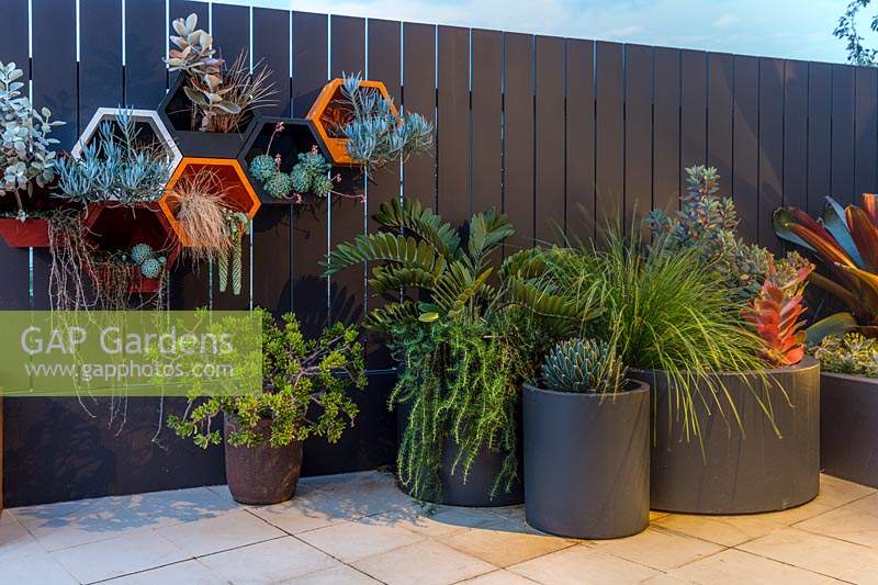 Des pots en pot contre une clôture pâlissante plantés d'une variété de plantes avec des pots hexagonaux en métal peint fixés au mur, plantés d'une variété de plantes succulentes et d'herbes.