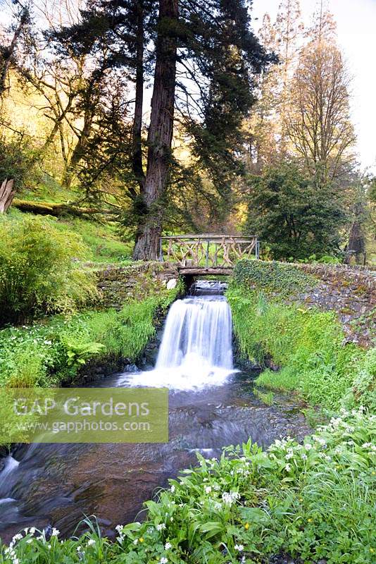 Le ruisseau Edgcumbe dégringole dans le jardin et rejoint la rivière Tamar à l'hôtel Endsleigh, Devon au printemps traversé par des ponts rustiques