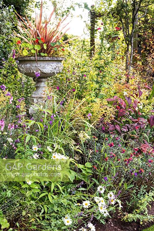 Urne décorative plantée d'un phormium et de capucines dans un parterre de fleurs.