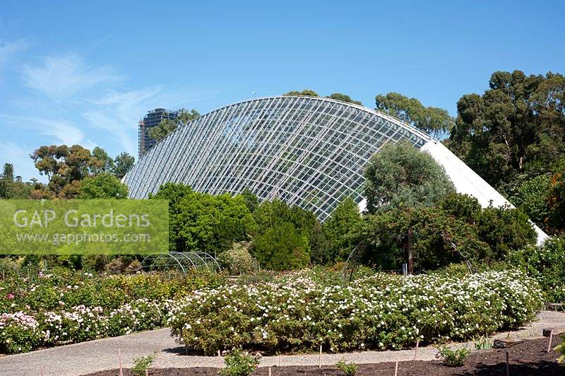 Jardins botaniques Conservatoire du bicentenaire contenant des plantes de la forêt pluviale de plaine et une canopée d'arbres.