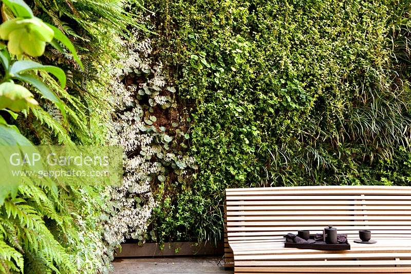Vue sur le jardin moderne avec un mur vert vertical, une terrasse en bois et un grand banc en bois