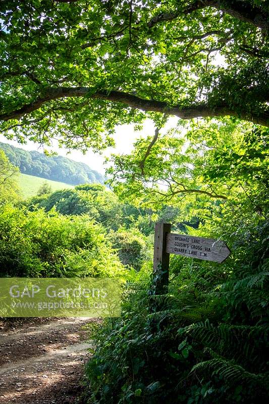 Ancienne voie verte Holloway près de Chivelstone, Devon au début de l'été