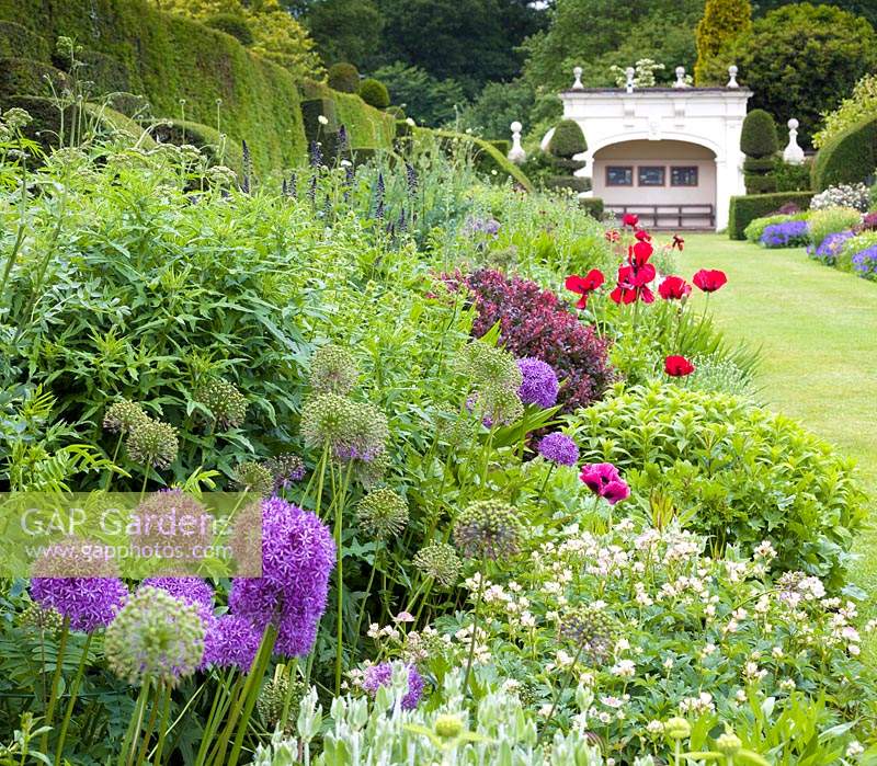 Les alliums, les astrantias et les coquelicots fournissent de la couleur dans les célèbres parterres de fleurs herbacées doubles à Arley Hall, Cheshire, Royaume-Uni.