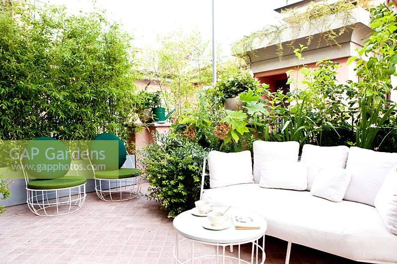 Une terrasse avec un coin salon carrelé recouvert de plantes assorties, notamment Phyllostachis nigra - Bamboo