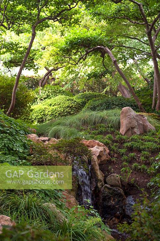 Le coin du jardin japonais avec des arbres et des rochers.