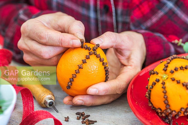 Insertion de clous de girofle dans des oranges