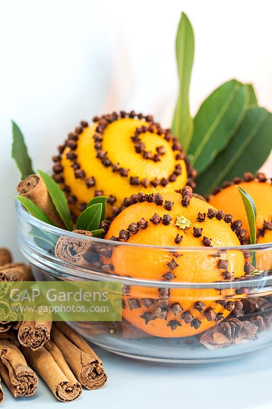 Oranges parsemées de clous de girofle dans un bol en verre avec des feuilles de laurier, de l'anis étoilé et de la cannelle