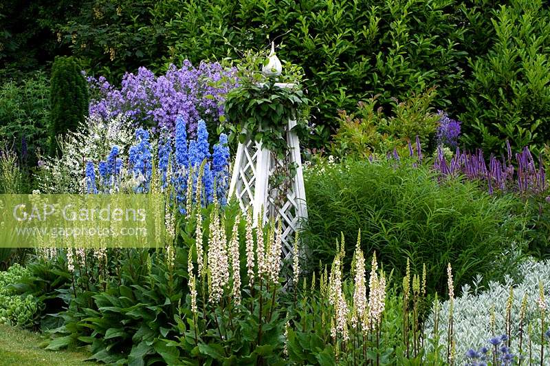 Delphinium 'Summer Skies' en parterre de fleurs à thème bleu et blanc avec obélisque.