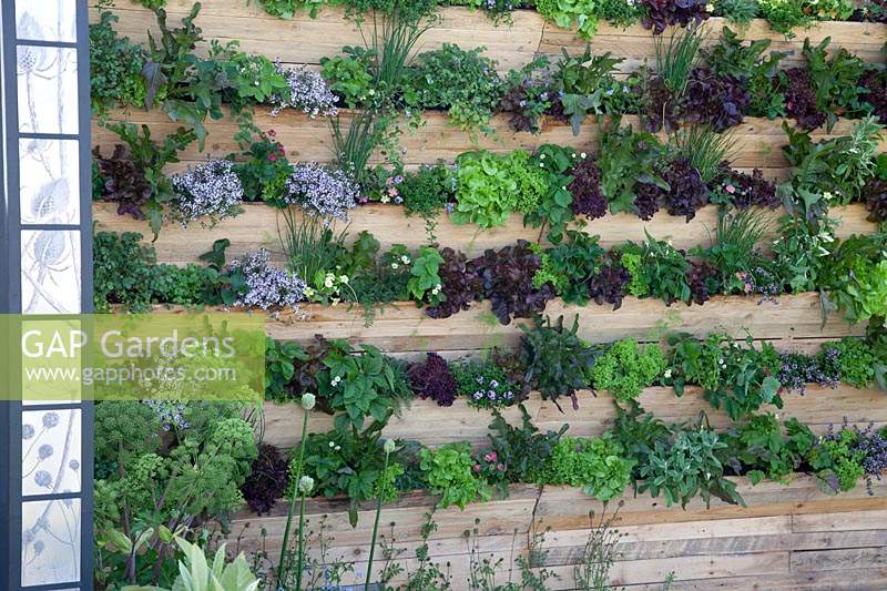 Mur vivant d'articles de salade dans 'The Salad Deck' au RHS Malvern Spring Festival 2018