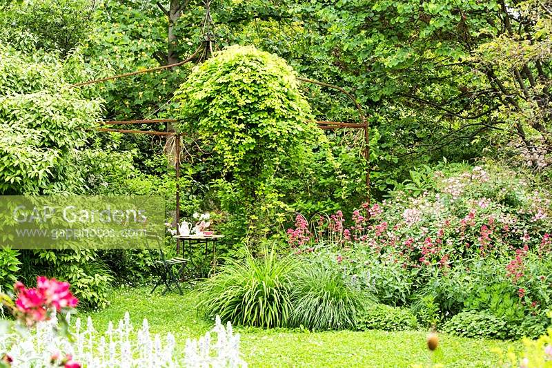 Parterres de fleurs et gazebo en métal avec grimpeur sur le coin salon, les arbres et les arbustes offrent un abri et de l'intimité