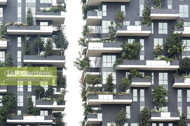 Bosco Verticale - Forêt verticale. Tours résidentielles plantées d'arbres et d'arbustes.