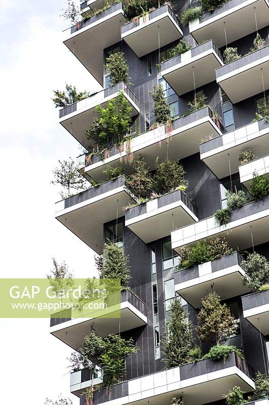 Regardant les balcons résidentiels de blocs de tour plantés d'arbres, d'arbustes et de vivaces.