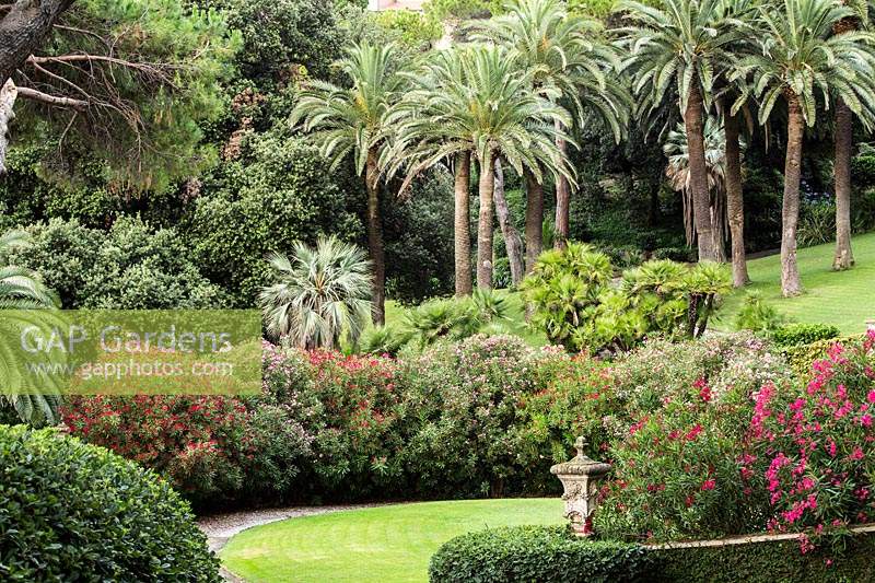 Jardins à la française de la Villa Agnelli Levanto, Italie.