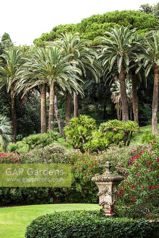 Jardins à la française de la Villa Agnelli Levanto, Italie.