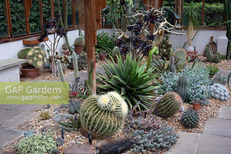 Maison aride avec parterre de gravier central de spécimens de cactus et plantes succulentes
