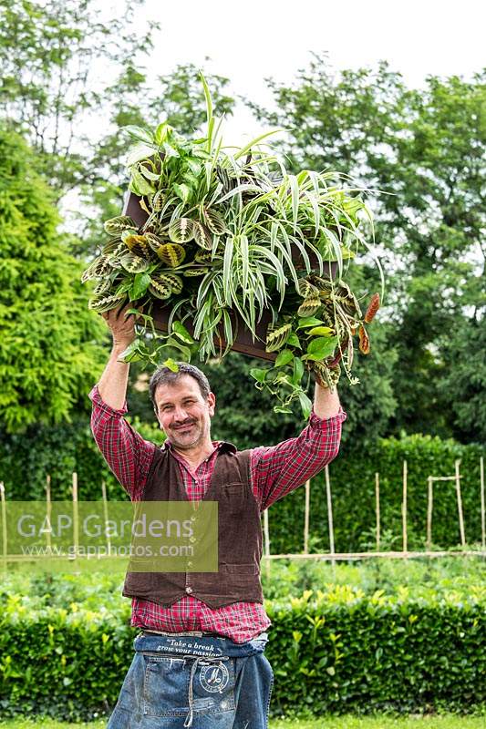 Homme tenant un module pour un jardin vertical planté de plantes d'intérieur