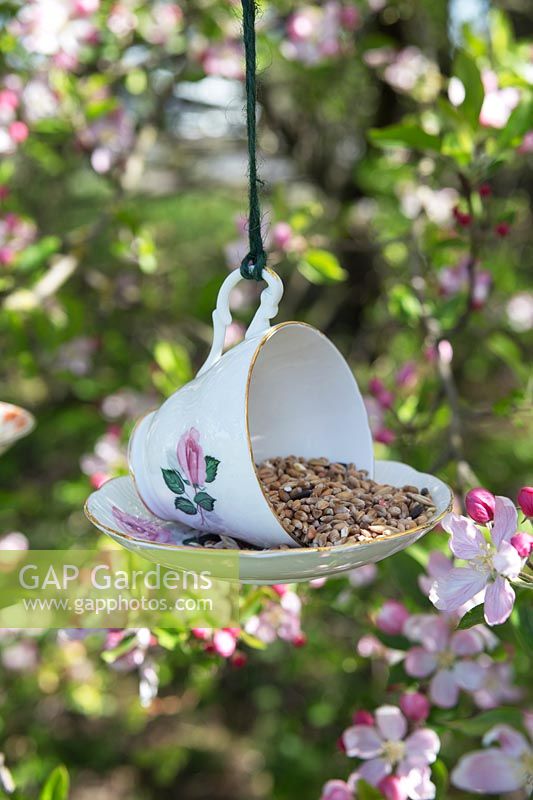 Mangeoire à oiseaux en porcelaine tasse à thé et soucoupe accroché dans un arbre entouré de fleurs