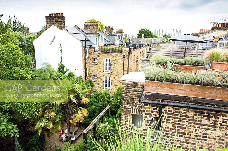 Vue depuis le jardin sur le toit en regardant les gens assis dans une petite place pavée sous les palmiers, également au-dessus des toits avec de nombreux petits jardins sur le toit