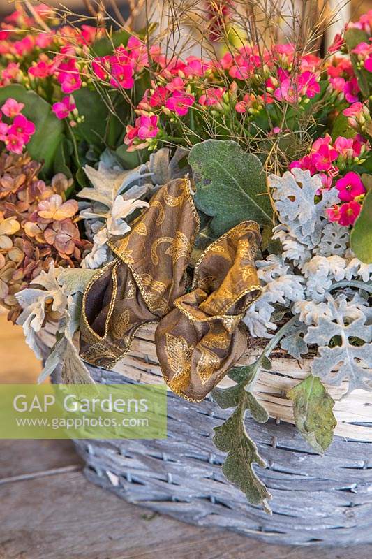 Arrangement de Noël dans un panier en osier gris planté de Kalanchoe et de séneçon d'argent, agrémenté de fleurs et de feuillage d'hortensias peints en or
