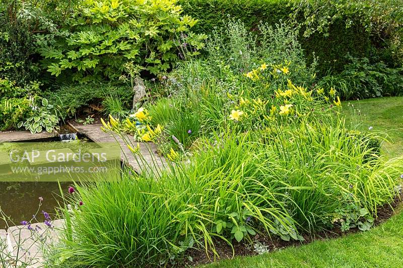Un jardin de campagne de banlieue informel avec des plantes vivaces, comme Hemerocallis, dans un parterre de fleurs près d'un petit étang avec des pavés et des tremplins