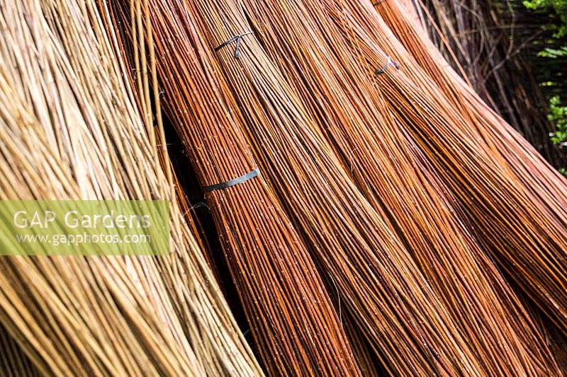 Salix - Willow - paquets, empilés à l'extérieur, matière première pour l'artisanat