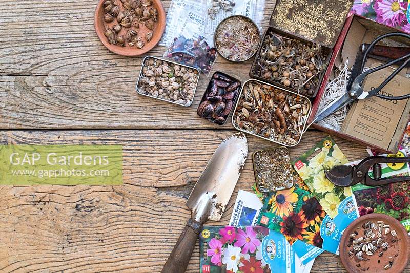 Diverses graines de fleurs et légumes conservées dans des boîtes avec des outils et des sachets de graines