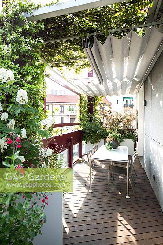 Vue le long de la terrasse jusqu'à la salle à manger ombragée, jardinière avec hortensia et jasmin grimpant
