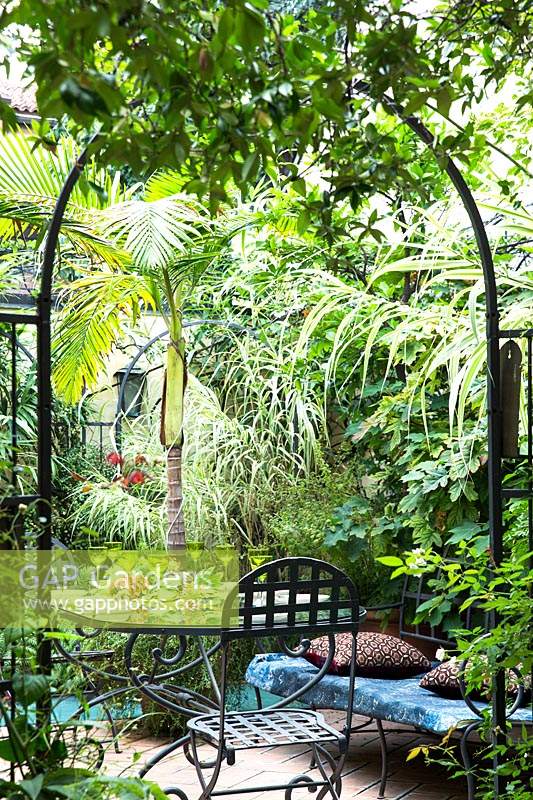 Vue de la terrasse avec table à manger et mélange de plantes tropicales, y compris les palmiers, les fougères et les bégonias.