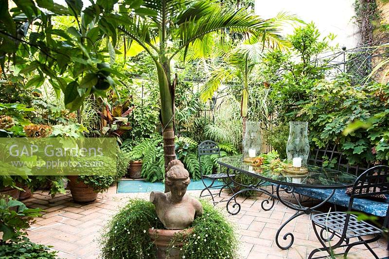 Un mélange de palmiers, Archontophoenix alexandra derrière la sculpture de buste, de fougères et d'autres plantes dans une terrasse urbaine de style tropical avec un coin repas carrelé