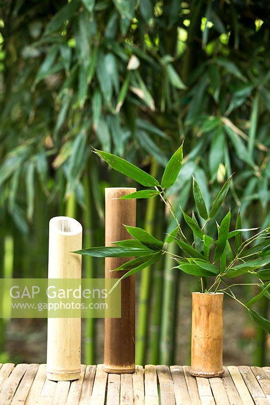 Objets design en bambou, vases de différentes cannes en bambou
