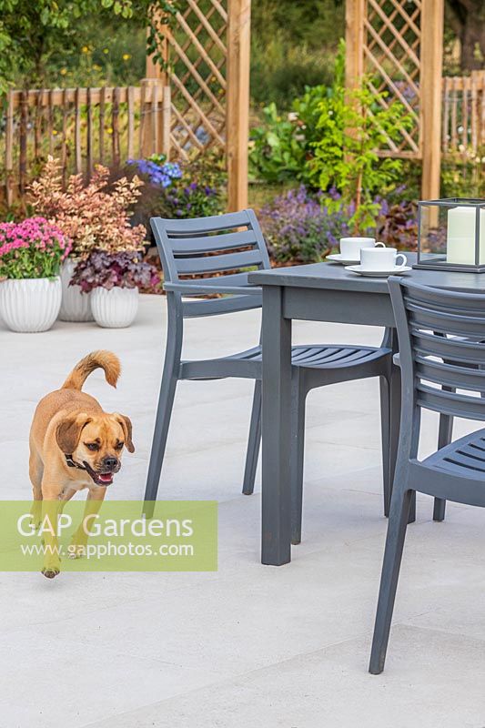 Table et chaises modernes installées sur un patio en porcelaine contextuelle avec un chien Puggle traversant un plan