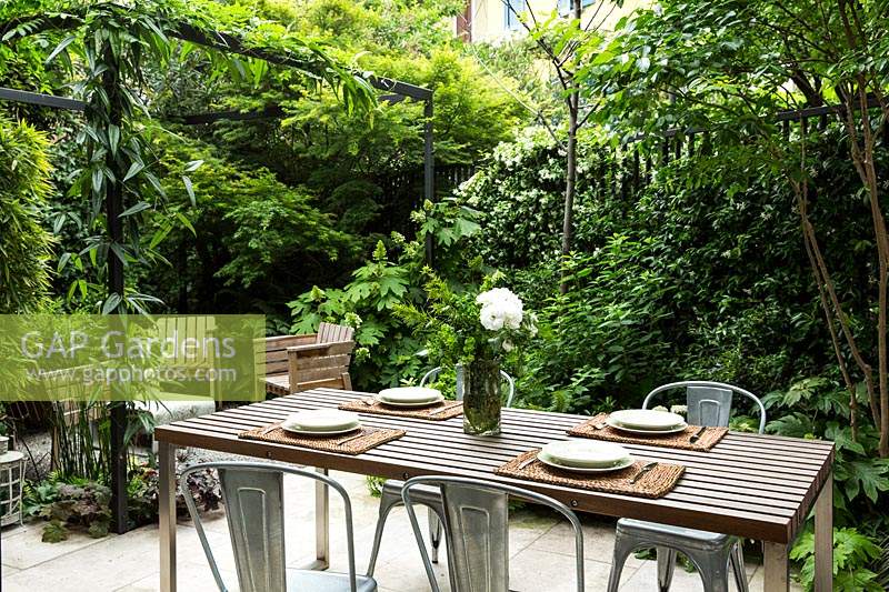 Vue de la salle à manger avec clôture clôturée avec des plantes à feuillage, une pergola en métal avec grimpeur divise le coin salon détendu