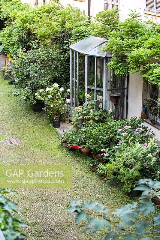 Regardant vers le bas sur la plantation autour du mur de la maison et du porche d'entrée, une glycine formée horizontalement et une rangée d'arbustes en pot