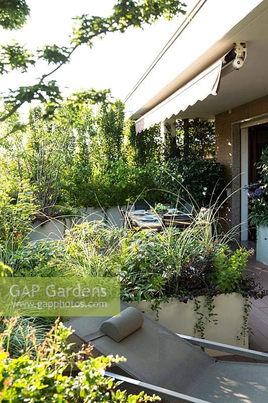 Disposition de bacs plantés sur une terrasse pour diviser la zone en zones de détente et de restauration. Les jardinières contiennent un feuillage mixte d'herbes ornementales, de vivaces et d'arbustes. Auvent d'ombre attaché au plafond.