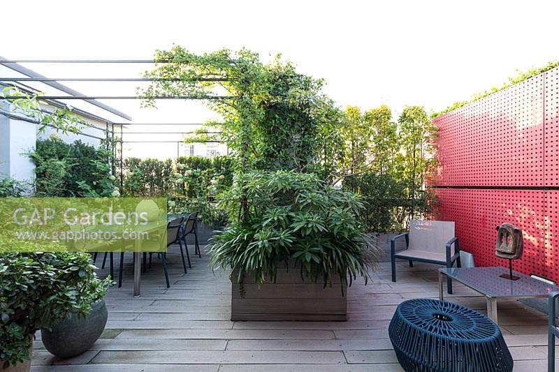 Vue d'ensemble du jardin sur le toit en bois avec salle à manger sous pergola et cloison rouge, écrans de plantes à la frontière et jardinière avec un feuillage audacieux